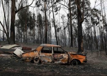 apoios incêndios pombal