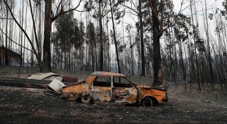 apoios incêndios pombal