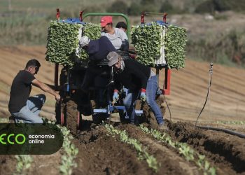 Agricultura trabalhadores