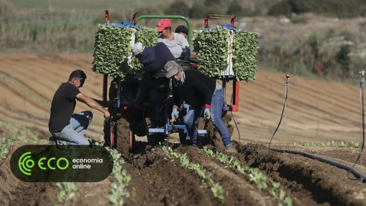 Agricultura trabalhadores