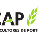 CAP logo