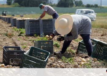 Falta de trabalhadores