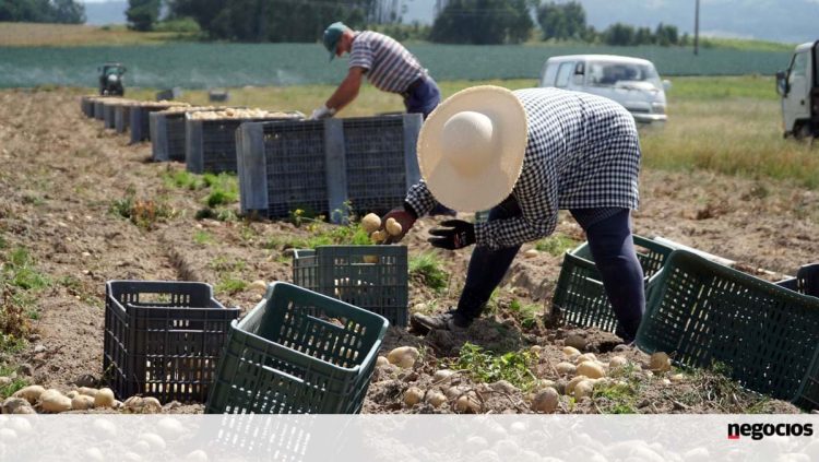 Falta de trabalhadores