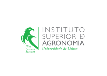 Isa logo