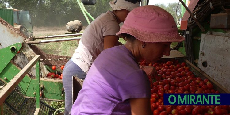 trabalhadores agrícolas