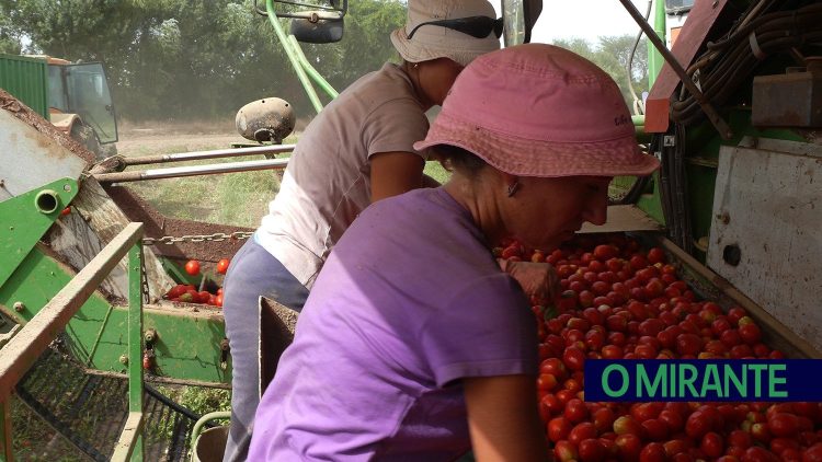 trabalhadores agrícolas