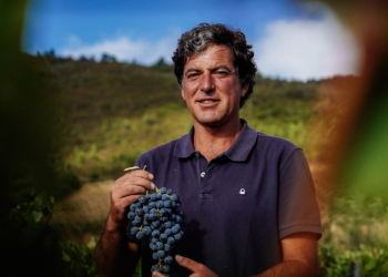agricultura regenerativa