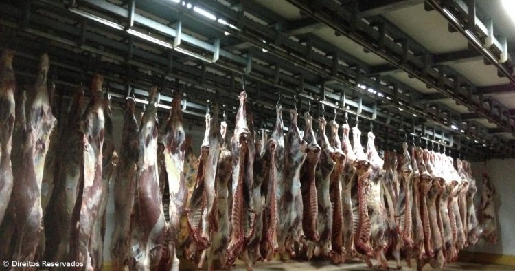 Produção de carne