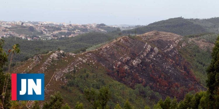 Parque das Serras do Porto