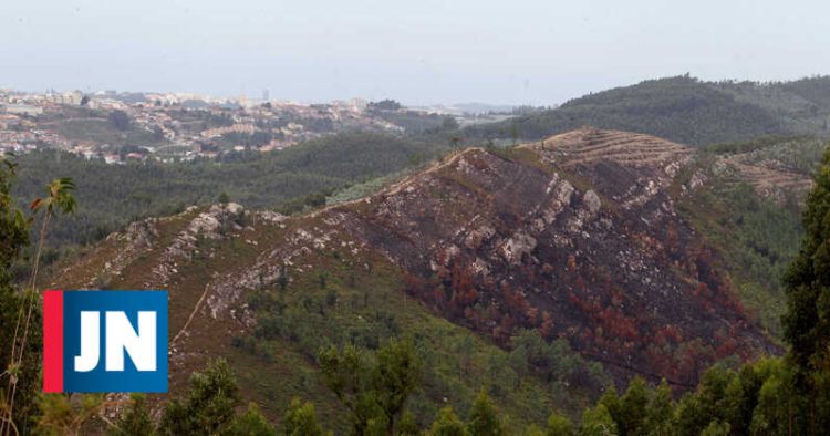 Parque das Serras do Porto