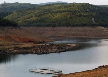 Relatório Planeta Vivo