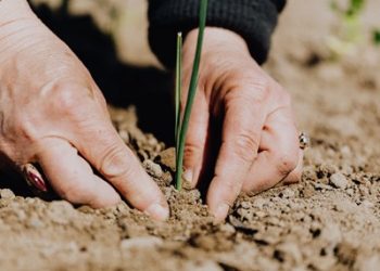 Agricultura circular para um futuro sustentável