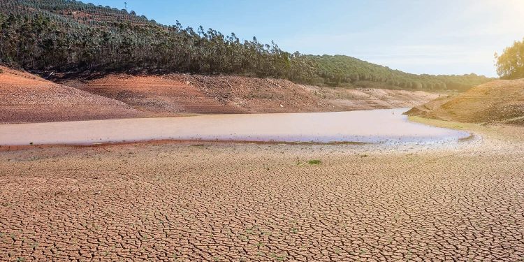 desertificação