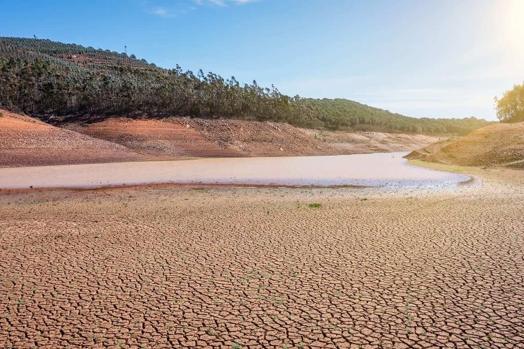 desertificação