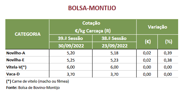 Cotações Bovinos