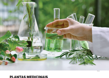 Plantas medicinais