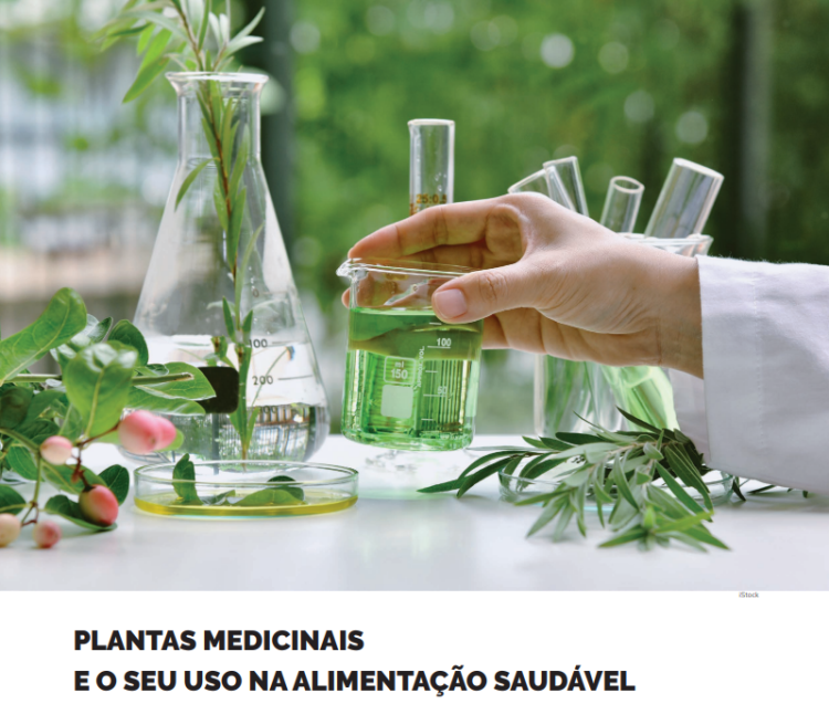 Plantas medicinais