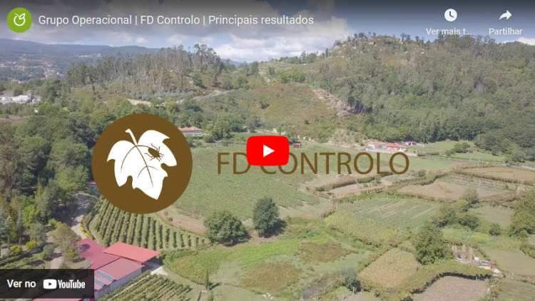 FD Controlo