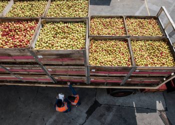 A comida que chega às nossas mesas está em risco