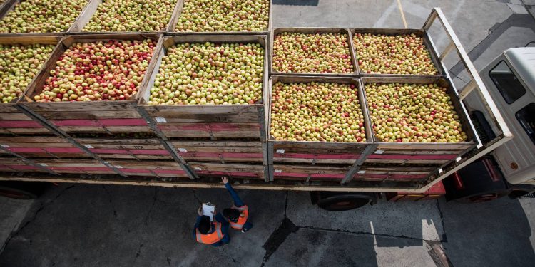 A comida que chega às nossas mesas está em risco