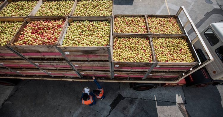 A comida que chega às nossas mesas está em risco