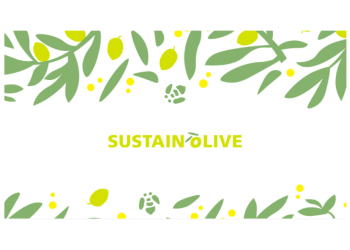 sustainolive
