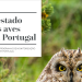 Estado das Aves em Portugal