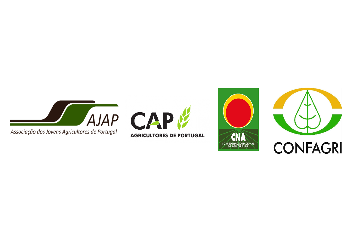 Ministério da Agricultura tem que simplificar e operacionalizar regras das candidaturas ao pedido único