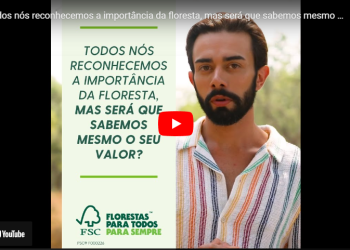 importância da floresta,