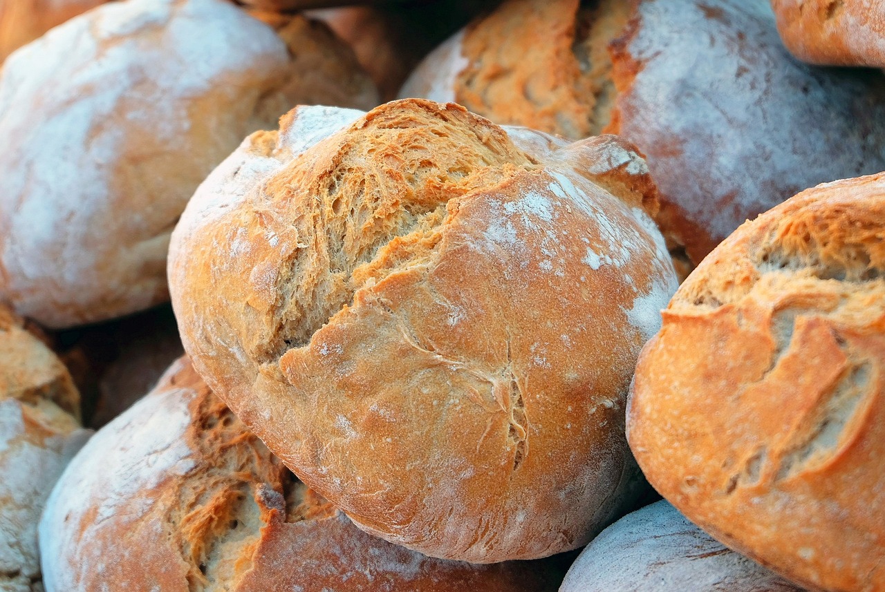 Produção de pão, carne, leite, ovos e massas pode voltar a estar ameaçada por falta de cereais
