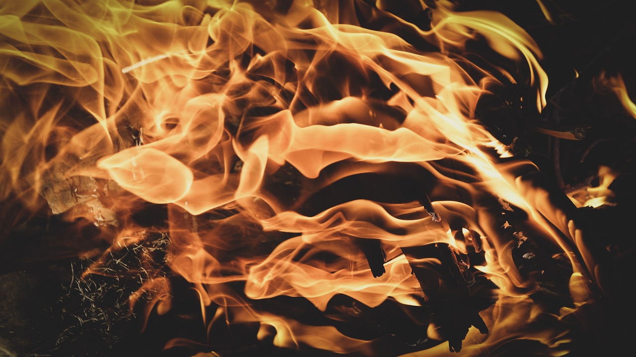 Cantanhede: Sessão de formação sobre “Como realizar uma queima em segurança?”