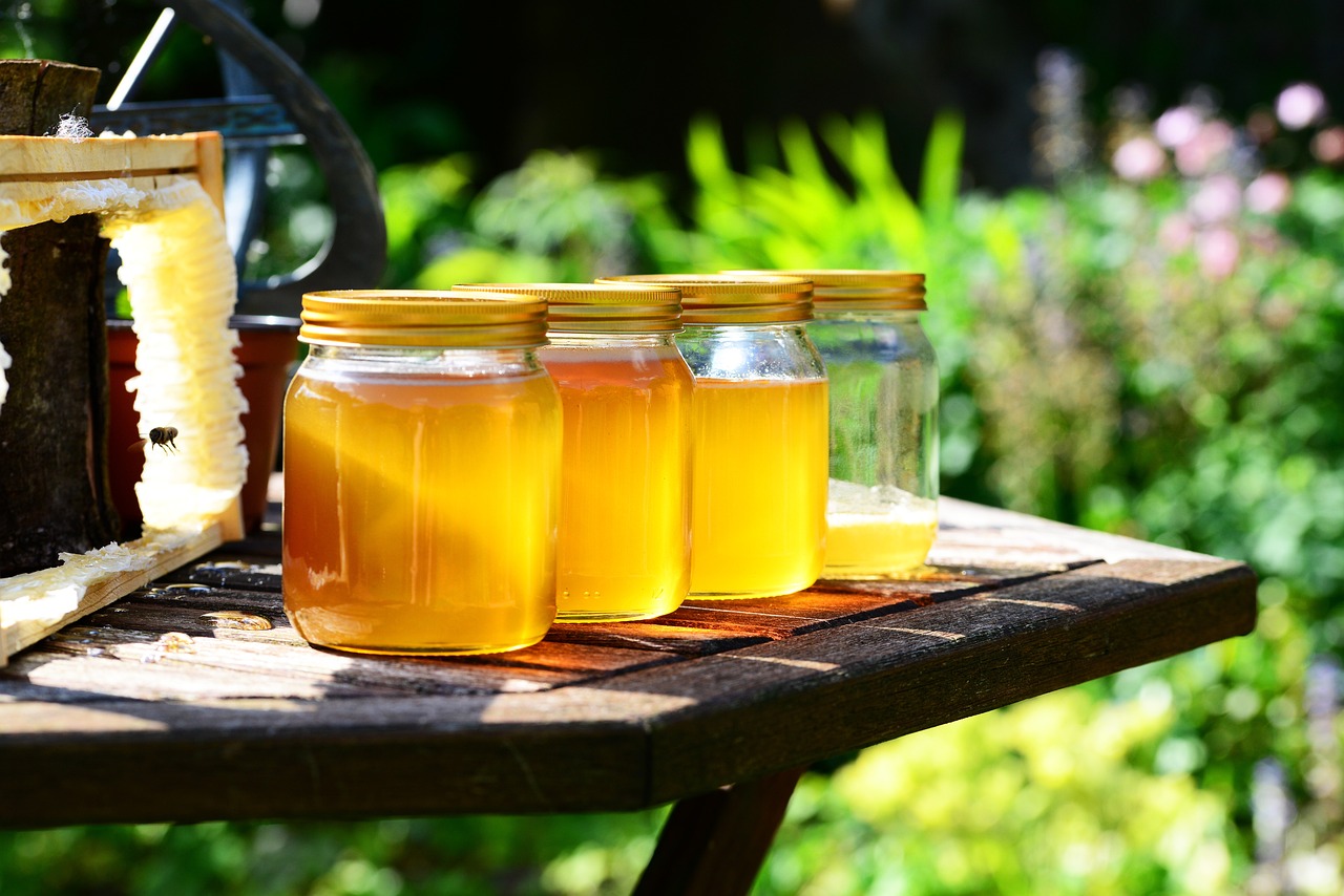 Colheita de mel da Serra da Lousã volta este ano a ser baixa devido ao clima