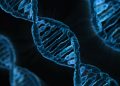 dna