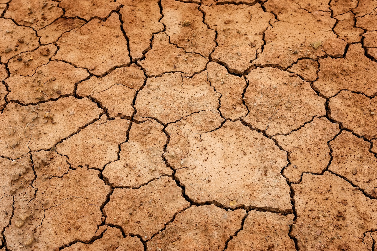 Espanha pede a Bruxelas fundos de emergência da PAC por causa da seca