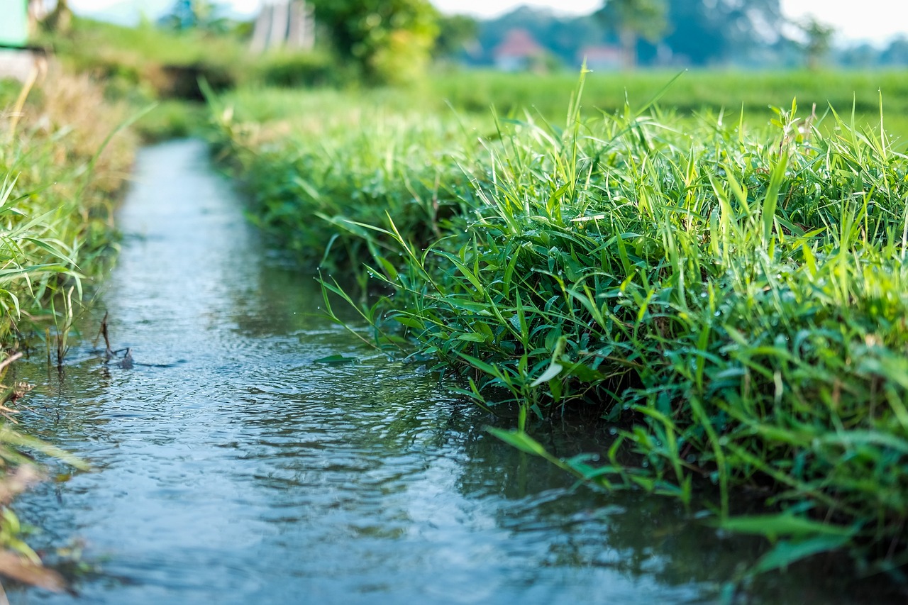 Ativistas da Climáximo constroem horta urbana no campo de golfe de Oeiras