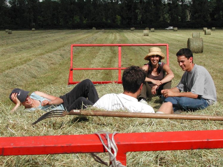 young farmer agriculture