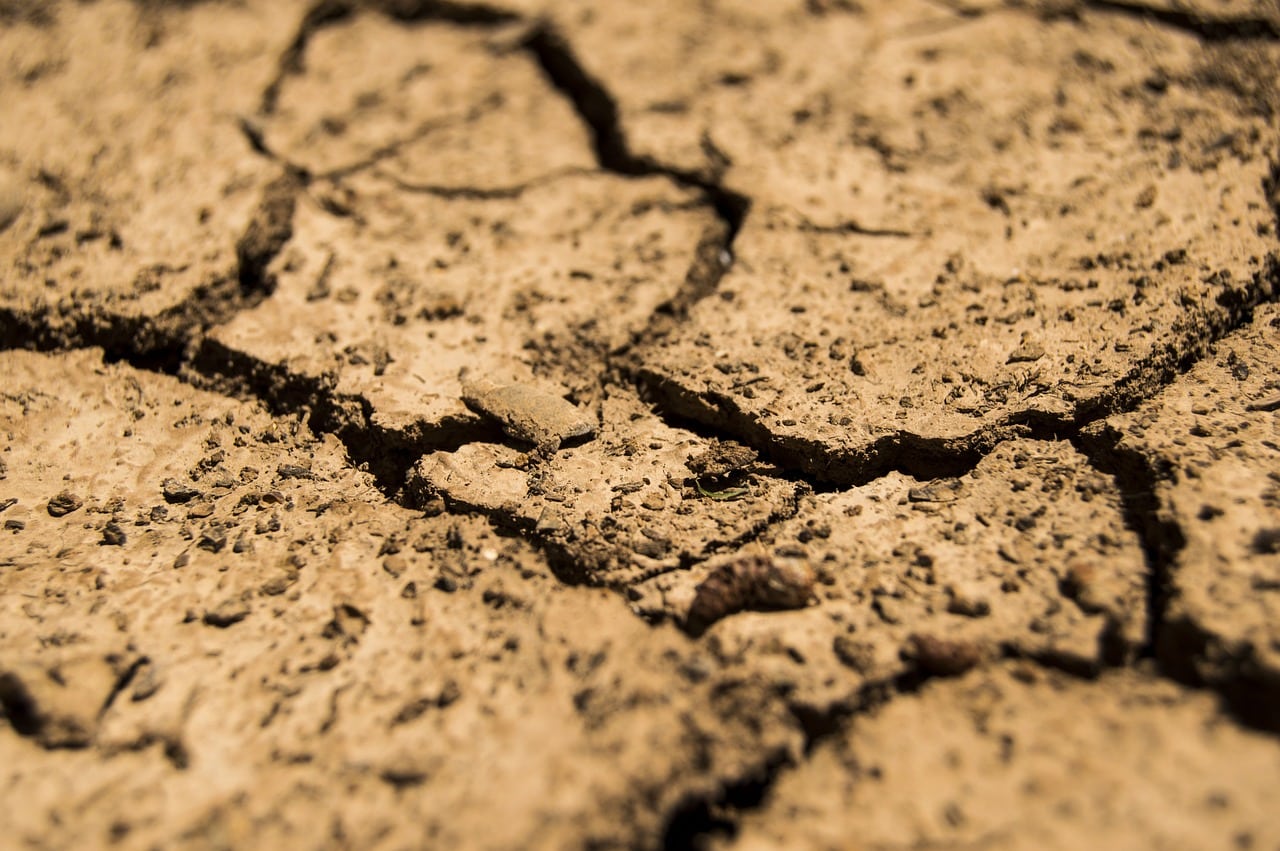 Situação de seca agravou-se em maio e chegou a todo território continental