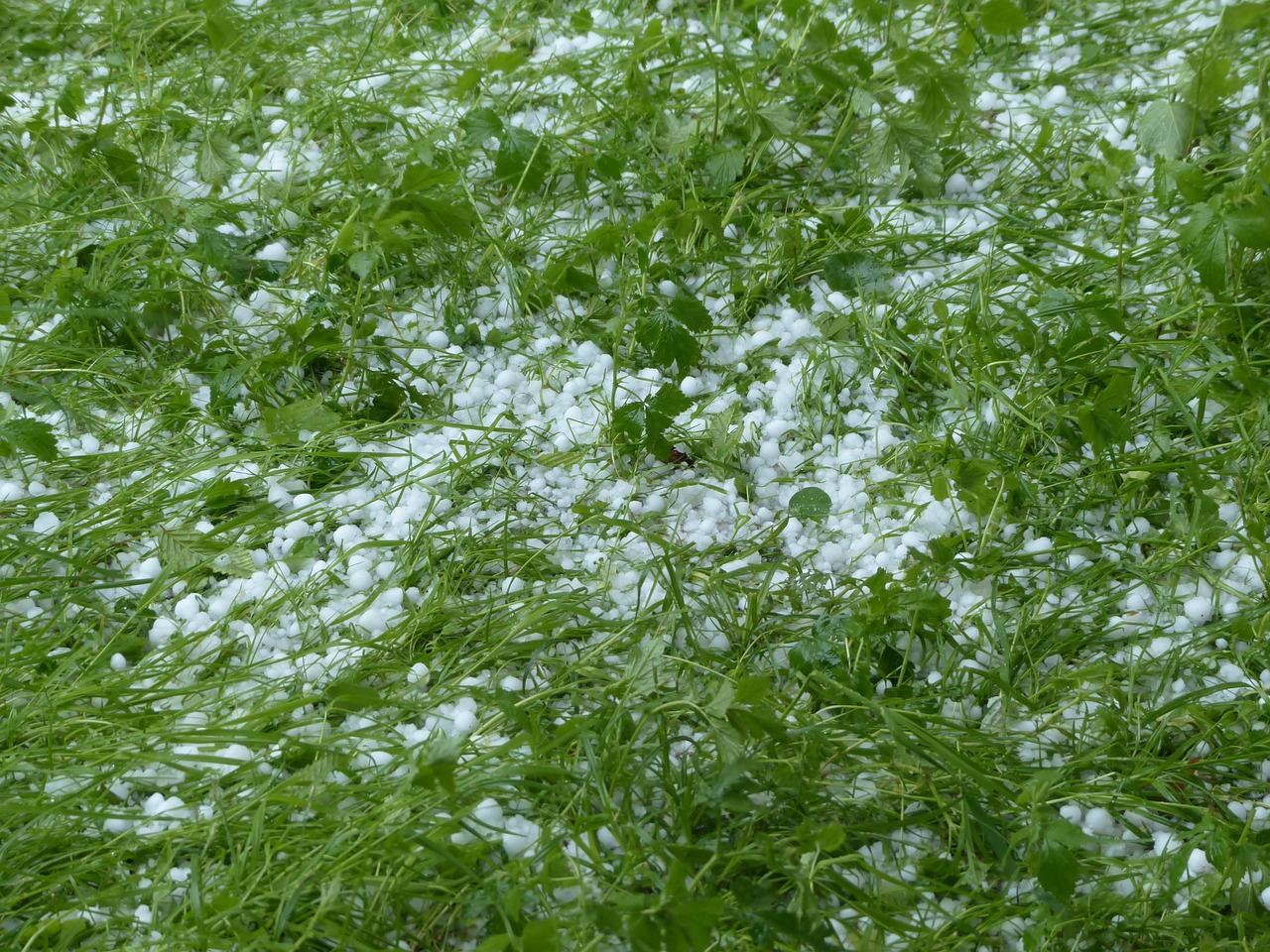 Autarcas falam em situação “dramática” em Murça devido à chuva intensa e granizo