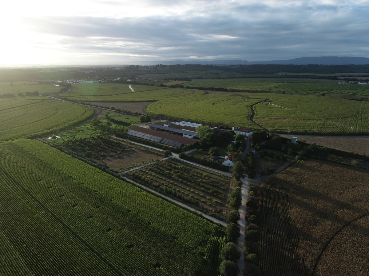 Quinta da Cholda aposta na agricultura de conservação para reduzir impactos e custos