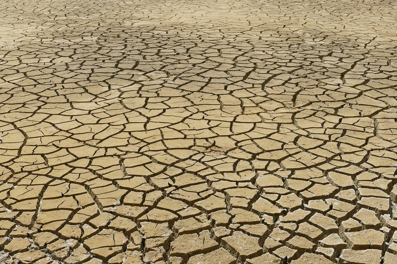 Situação de seca aumentou em dezembro na região Sul