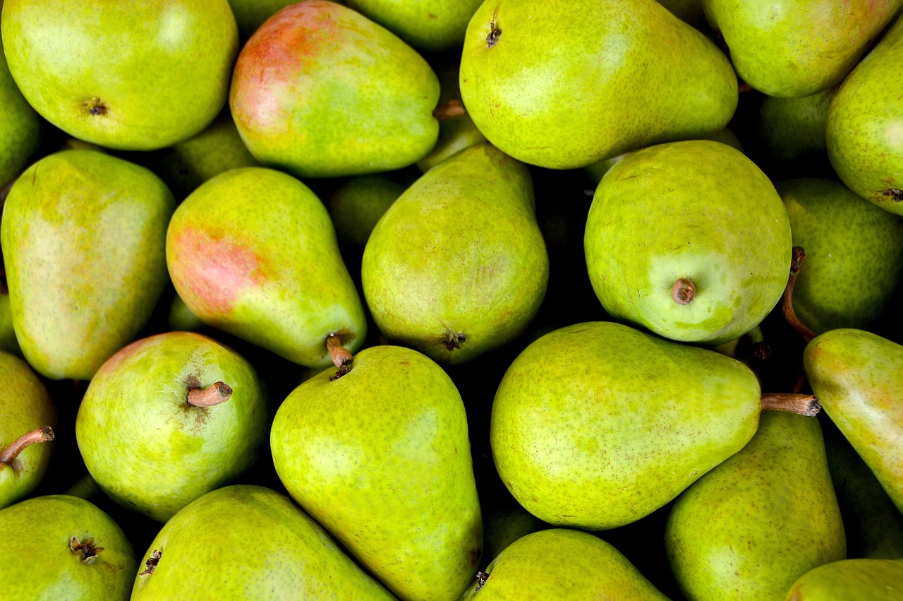Governo reduz apoios à distribuição de fruta, legumes e laticínios nas escolas