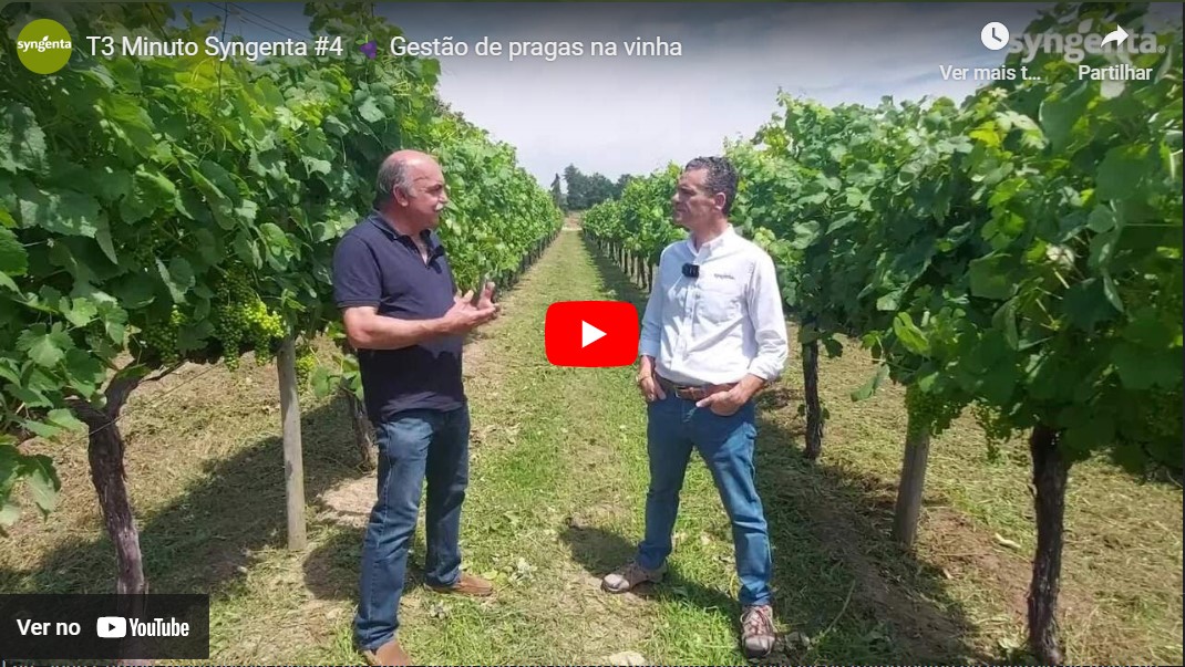 Minuto Syngenta T3 Ep.4