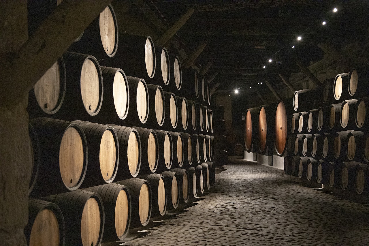 Produção de vinho vai aumentar mas menos do que esperado - ViniPortugal