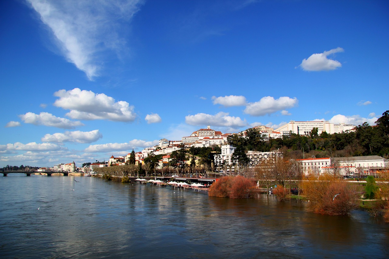 UE/Agricultores: Manifestantes do Baixo Mondego vão manter-se em Coimbra até sexta-feira