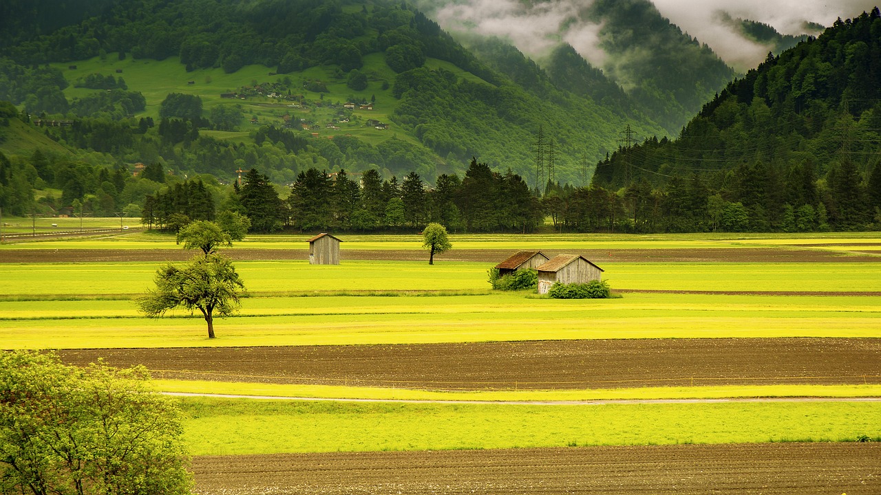 El Niño continuará até meados de 2024, ameaçando a agricultura