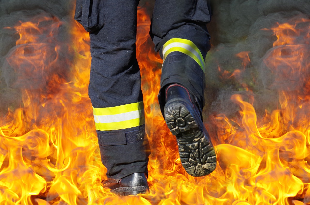 Incêndios: Fogo em Mogadouro consumiu 1.486 hectares