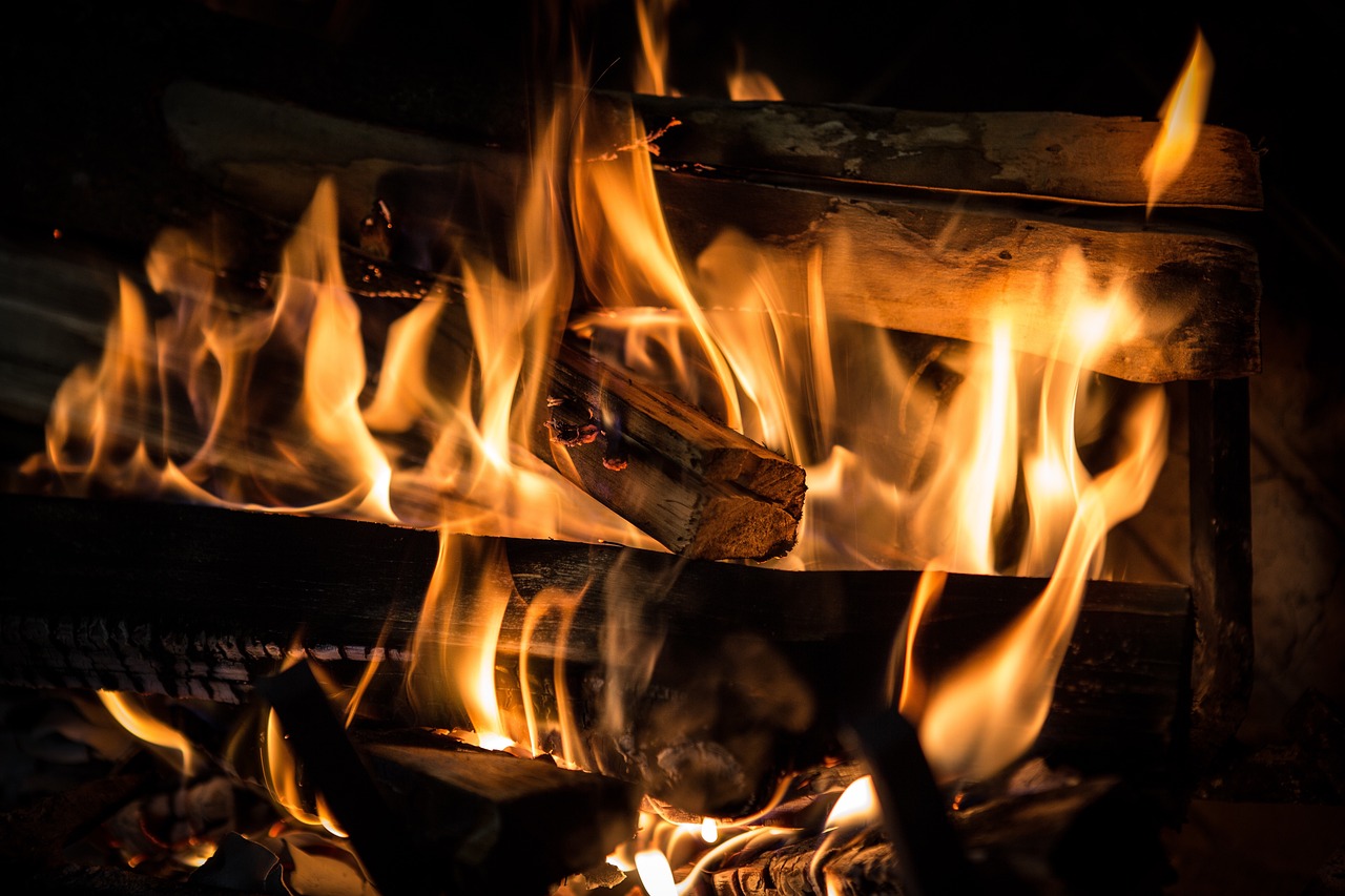 Comer o que a floresta dá é uma forma única de a proteger dos incêndios