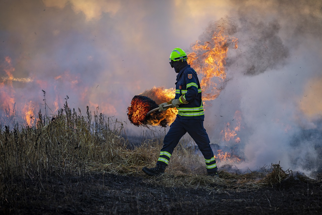 Empresa de proteção de bens florestais presta apoio no combate aos incêndios
