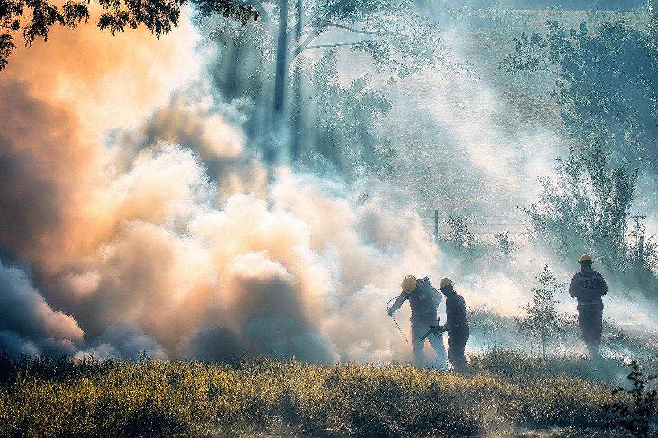 Emissões de carbono de incêndios florestais batem recorde em 2023