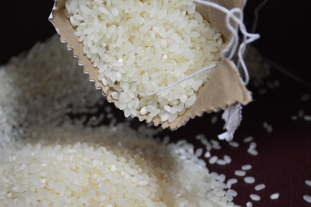 No Vale do Sado, o arroz é um produto nobre